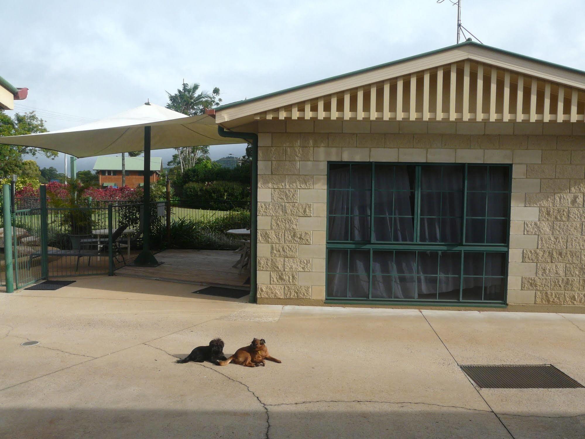 Curtain Fig Motel Yungaburra Exterior photo